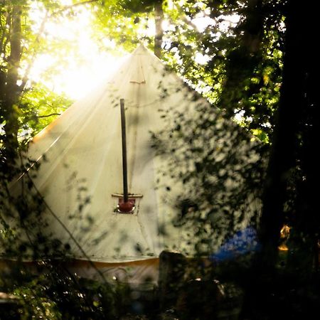 Hollington Park Glamping Otel Newbury  Dış mekan fotoğraf