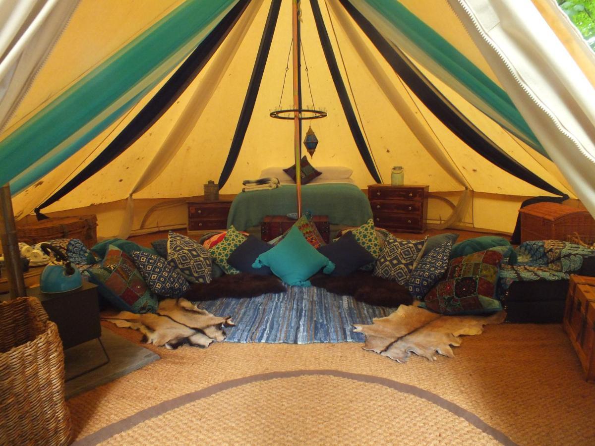 Hollington Park Glamping Otel Newbury  Dış mekan fotoğraf