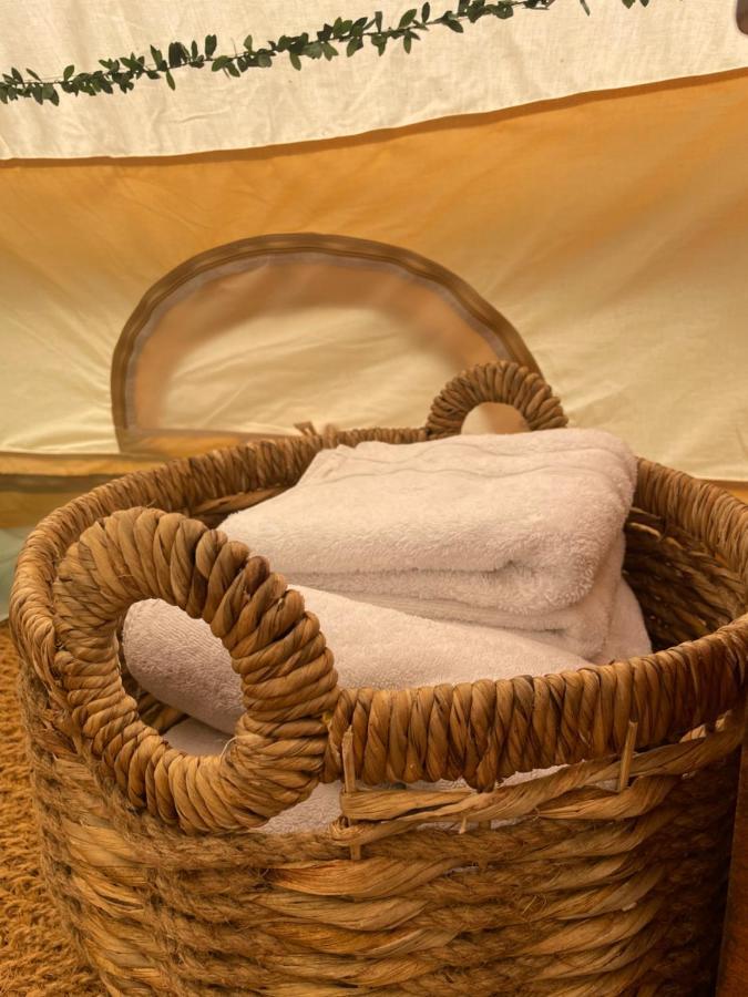 Hollington Park Glamping Otel Newbury  Dış mekan fotoğraf