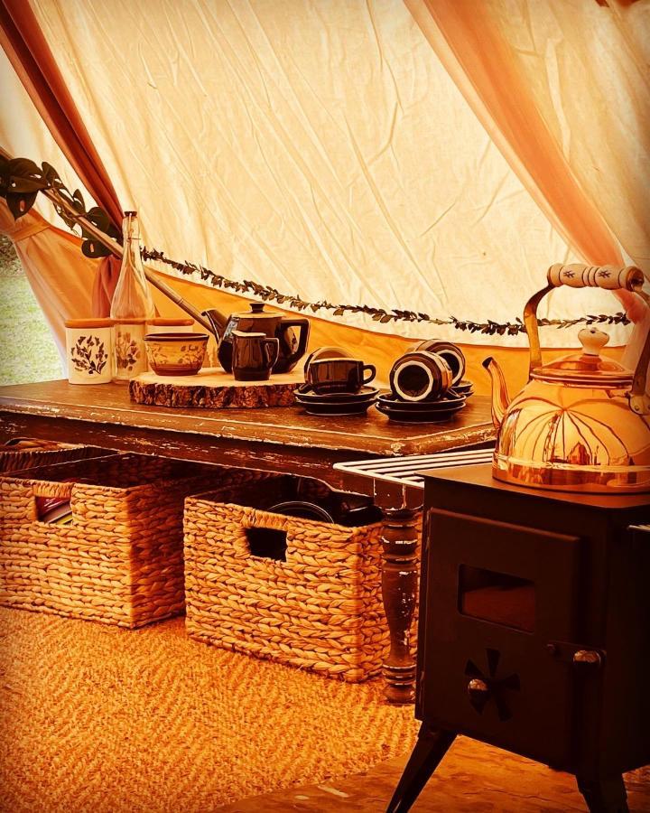 Hollington Park Glamping Otel Newbury  Dış mekan fotoğraf