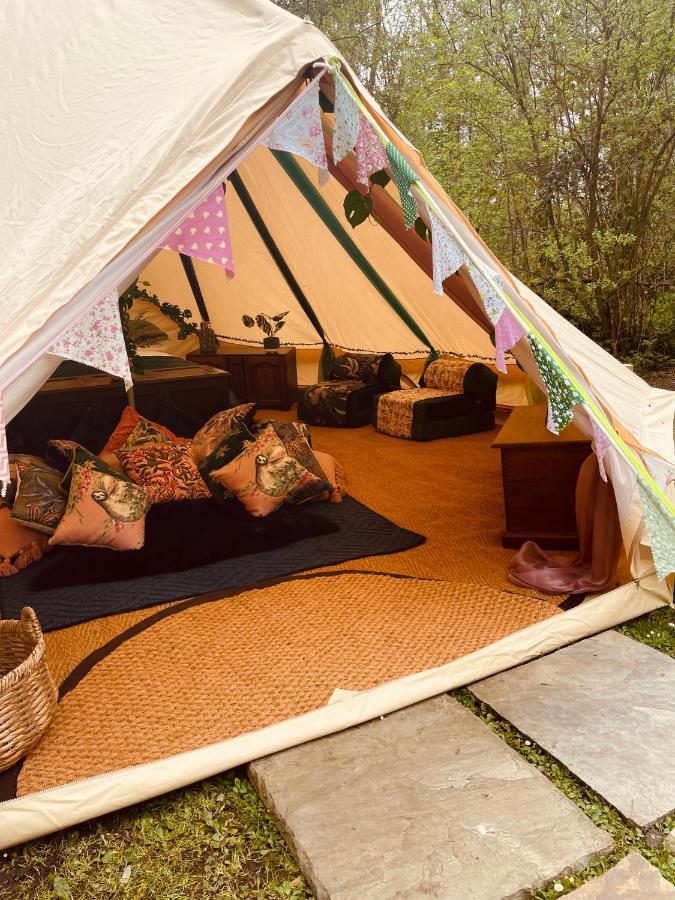 Hollington Park Glamping Otel Newbury  Dış mekan fotoğraf