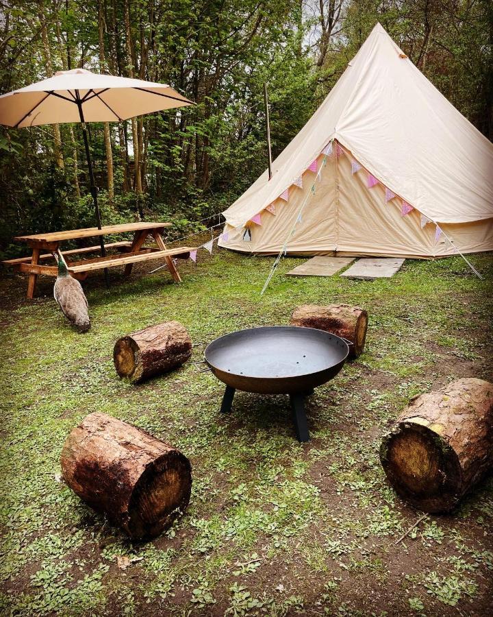 Hollington Park Glamping Otel Newbury  Dış mekan fotoğraf