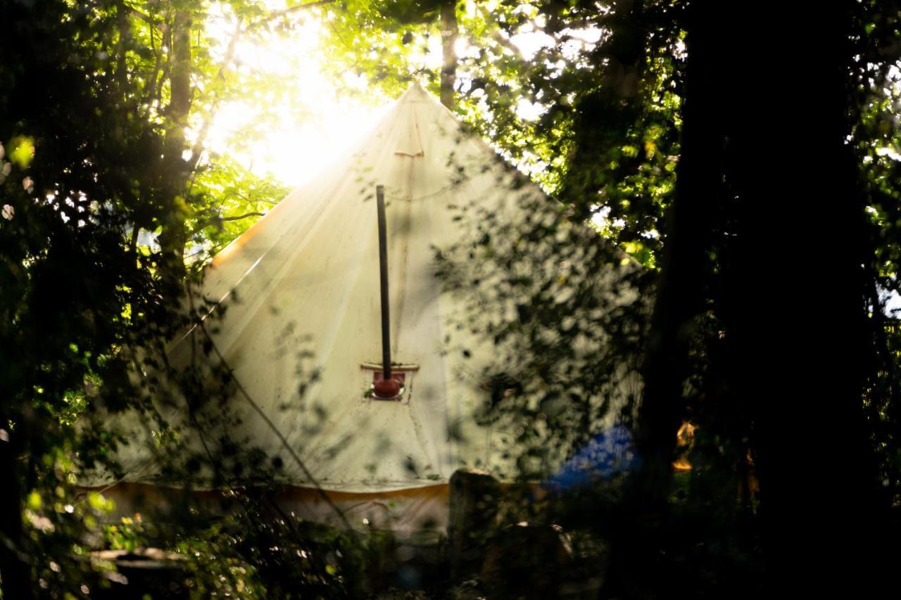 Hollington Park Glamping Otel Newbury  Dış mekan fotoğraf