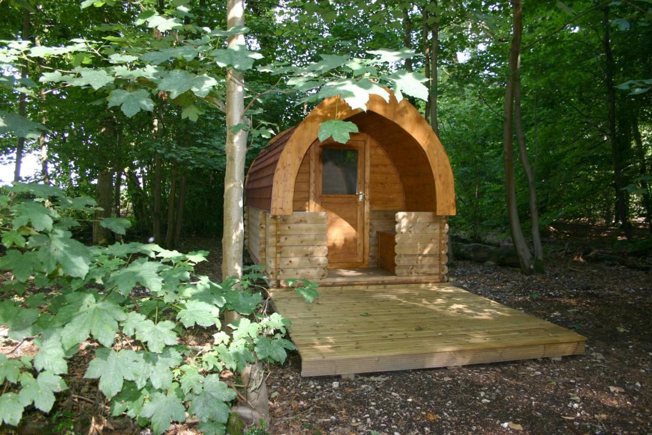 Hollington Park Glamping Otel Newbury  Dış mekan fotoğraf